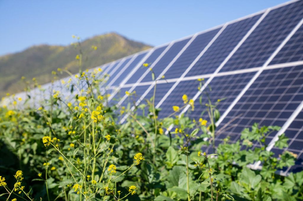 Atlas Renewable Energy e ODATA fazem parceria para impulsionar a transição de energia renovável no data center