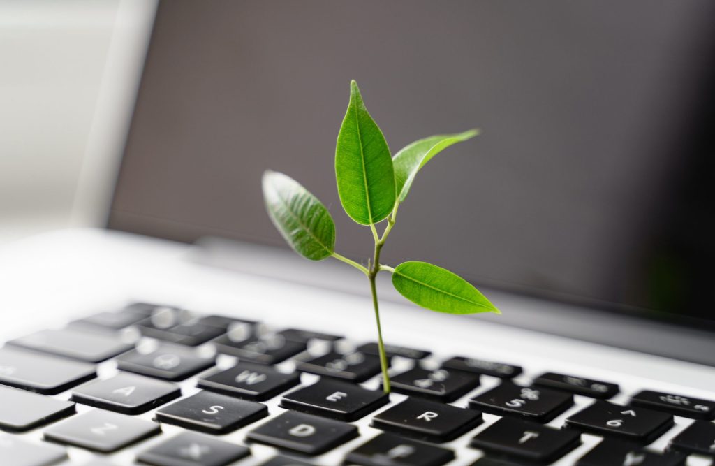 Saiba porque a TI verde é uma tendência cada vez mais forte para a digitalização responsável