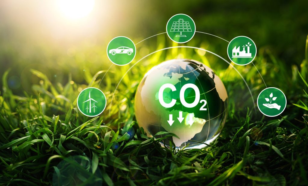 Redução de carbono: essencial para um futuro mais verde